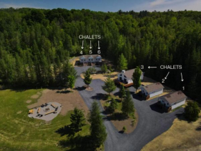 Chalet 2 OST Shefford